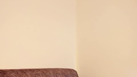     online show from 12/28/24, 10:14