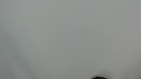 Anay velez online show from 01/06/26, 03:21