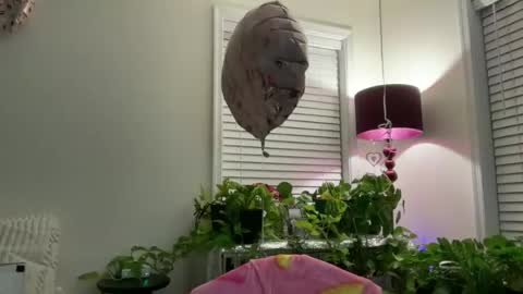 MIlf Goddess online show from 07/13/26, 02:36