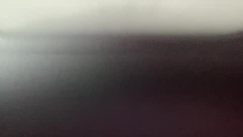 stud online show from 12/16/25, 08:30