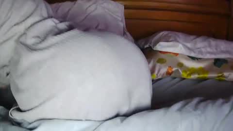 MilfyTitts online show from 10/16/25, 12:39