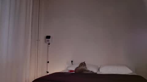 Snapshot of milky__way_ chatting on 10/05/25, 03:10 milky__way_ online show from 10/05/25, 03:10