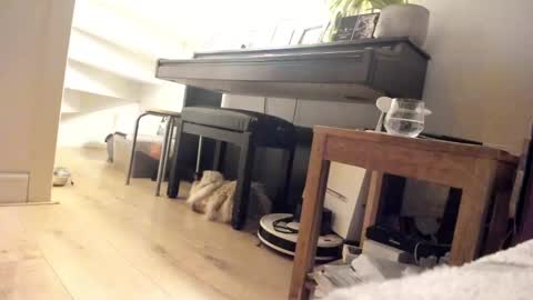 Snapshot of milu_curly chatting on 03/05/25, 03:40 Milu online show from 03/05/25, 03:40