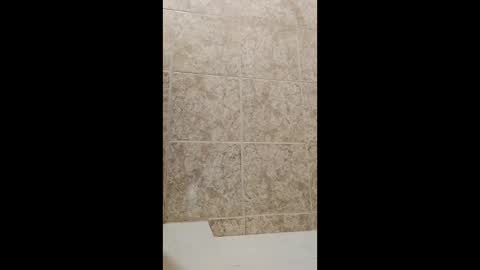 mineiro1514 online show from 04/01/26, 02:34