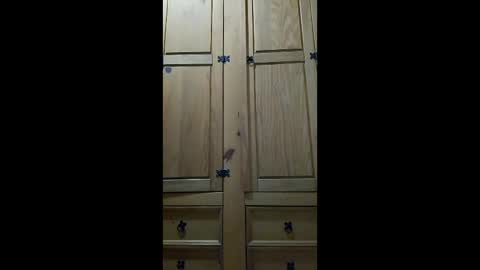 mineiro1514 online show from 04/06/26, 01:14