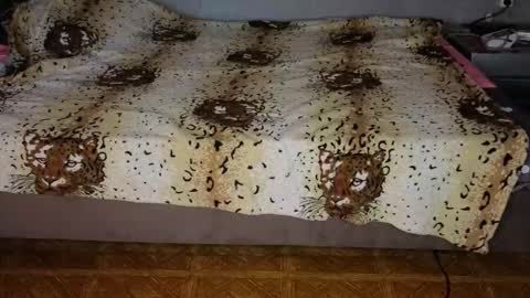 Snapshot of mirahardmanxx chatting on 11/10/25, 12:37 Happy New Year online show from 11/10/25, 12:37