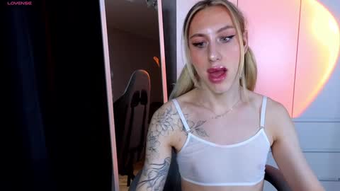 Snapshot of miraraid chatting on 12/17/24, 09:50 miraraid online show from 12/17/24, 09:50