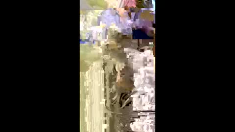 Nicol online show from 01/05/26, 07:50