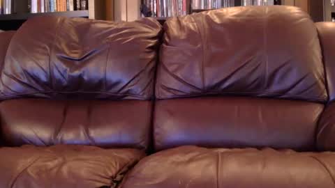 misohoney007 online show from 04/06/26, 11:33