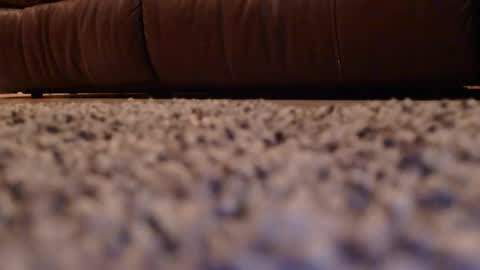 misohoney007 online show from 04/14/26, 10:21