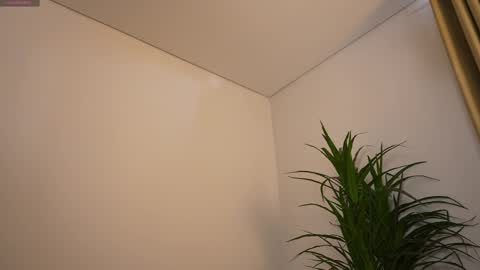 Snapshot of miss_airi chatting on 03/01/26, 03:03 miss airi online show from 03/01/26, 03:03