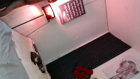 miss_bella69 online show from 11/05/25, 12:10