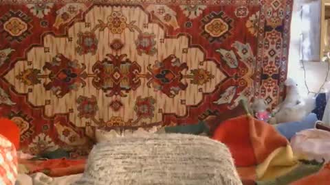 Elis online show from 11/14/25, 01:21