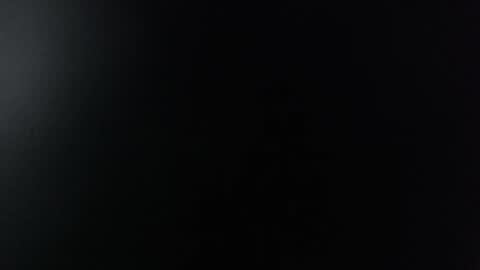 Snapshot of miss_lina_dream chatting on 12/13/24, 11:23 Miss Lina online show from 12/13/24, 11:23