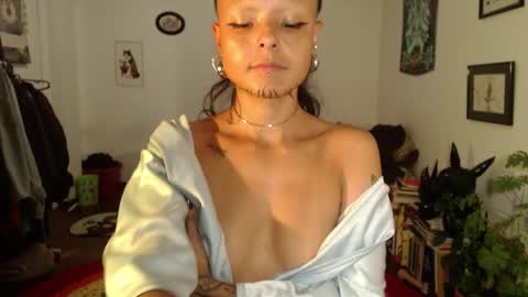 Anarkitten  online show from 02/11/25, 02:14