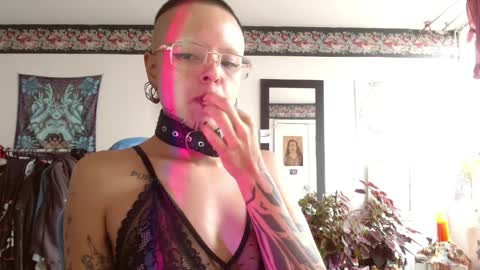 Anarkitten  online show from 04/09/26, 07:52