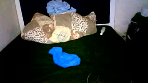 VAL online show from 01/07/26, 08:39