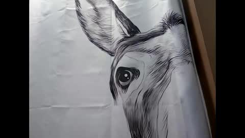 MissEeva online show from 02/17/25, 09:41