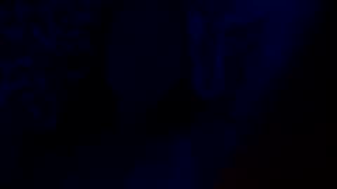 Nayyy online show from 03/08/25, 08:55