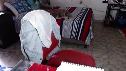 Snapshot of missgomezz_ chatting on 02/02/26, 05:33 Maria Gomezz online show from 02/02/26, 05:33