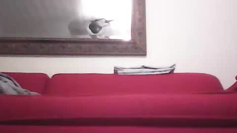 misshollywoodbaby online show from 09/14/25, 11:48