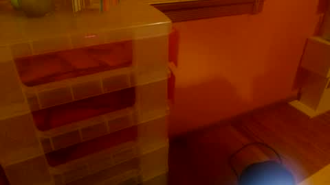Snapshot of misskittyfox chatting on 06/25/26, 04:56 MissKittyFox online show from 06/25/26, 04:56