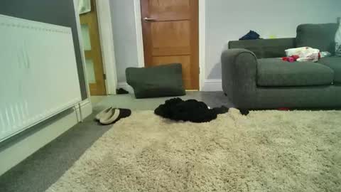 misterycouple12 online show from 12/27/24, 04:04