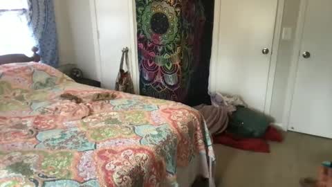 MistyVale online show from 01/21/25, 04:48