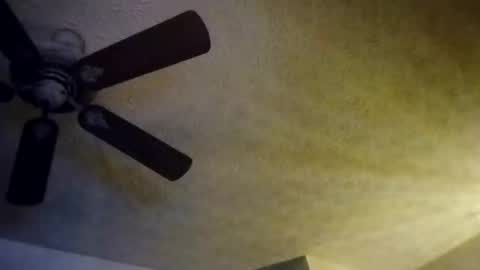 Snapshot of mitchnails69 chatting on 10/10/25, 08:13 BobbyMitchGa online show from 10/10/25, 08:13