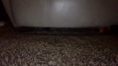 SexyRed online show from 09/16/25, 06:53