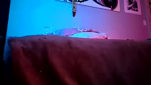 Daddy720 online show from 03/22/26, 11:41