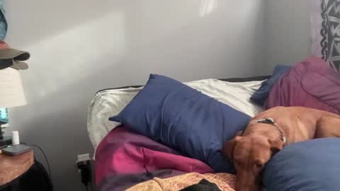 Snapshot of mntuila chatting on 02/02/25, 03:39 MNTuiLa online show from 02/02/25, 03:39