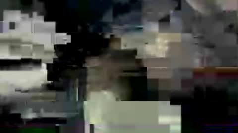 Mnwild4u online show from 07/06/26, 06:54