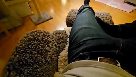 mojo28112 online show from 11/25/25, 06:19