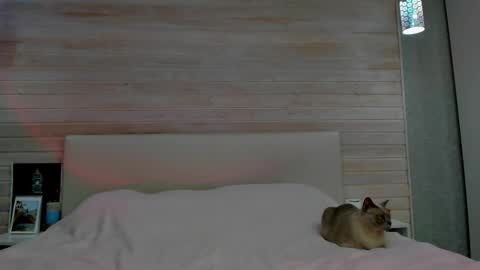 Molly Hunt online show from 03/01/26, 04:58