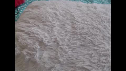 Molly And Brad online show from 02/06/25, 10:21