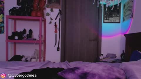 mollycrystalll online show from 04/15/26, 07:59