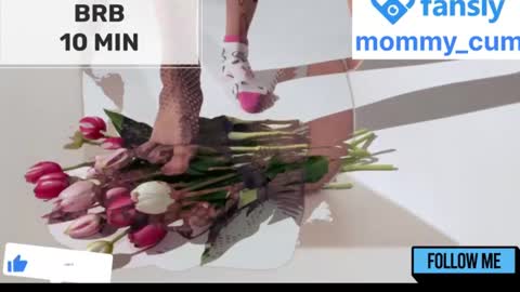 Mommy online show from 01/23/25, 08:25