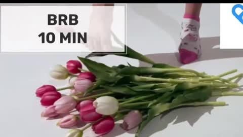 Mommy online show from 10/28/25, 02:04