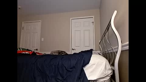 Snapshot of moneyboysaveg584 chatting on 04/12/26, 10:09 moneyboysaveg584 online show from 04/12/26, 10:09