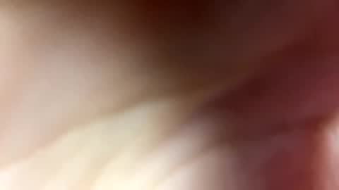 Monica online show from 12/11/24, 08:36