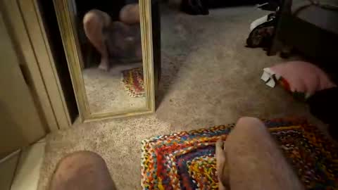 MonMon online show from 12/19/24, 07:07