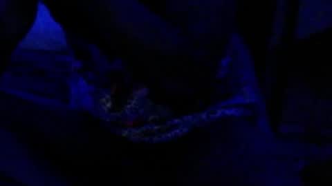 montydxxx2 online show from 12/17/25, 04:35