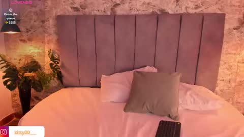 Kitty online show from 07/17/26, 03:35