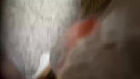 moos1 online show from 09/25/25, 12:25