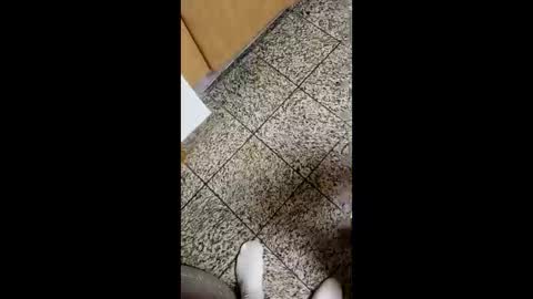 moos1 online show from 10/04/25, 04:10