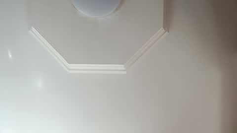 moos1 online show from 02/08/26, 11:24