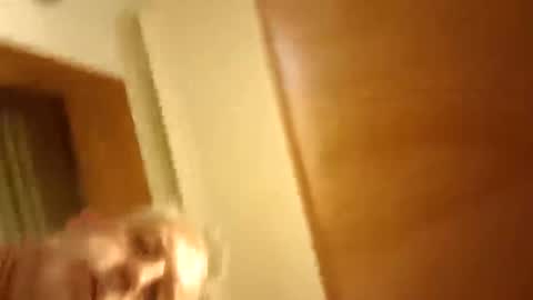 moos1 online show from 03/08/26, 09:40