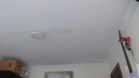 Abelardo online show from 01/12/26, 03:28