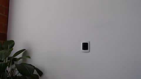 Abelardo online show from 03/28/26, 03:44